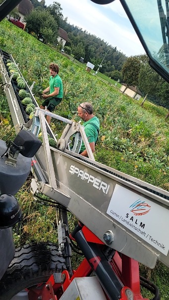 Spapperi Erntebänder