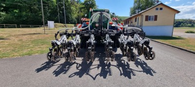 Strip-Till Sly Stripcat