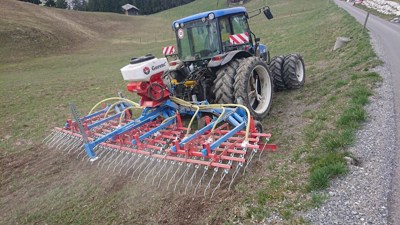 Gorenc Striegel mit Sägerat