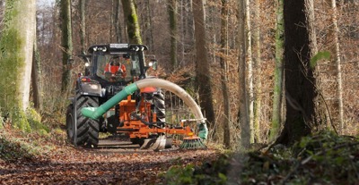 Laubbläser inkl Wildkrautbürste