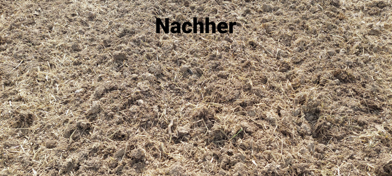 285faf40-f3e9-4b75-ab81-1f235d63715c-Mulchschicht nachher.jpg