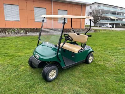 EZGO TXT48 Elektro-Golfwagen (mehrere)