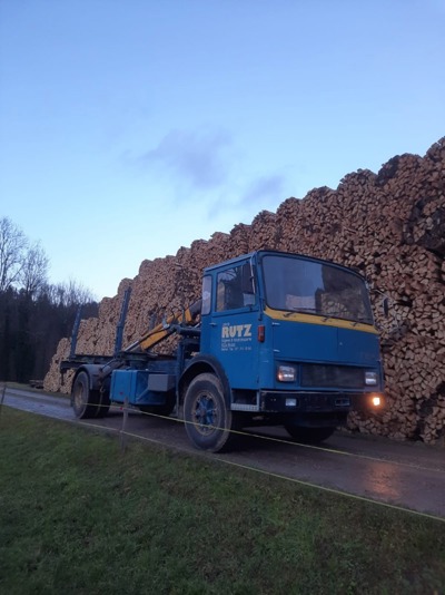 FBW Rundholzlastwagen mit Kran