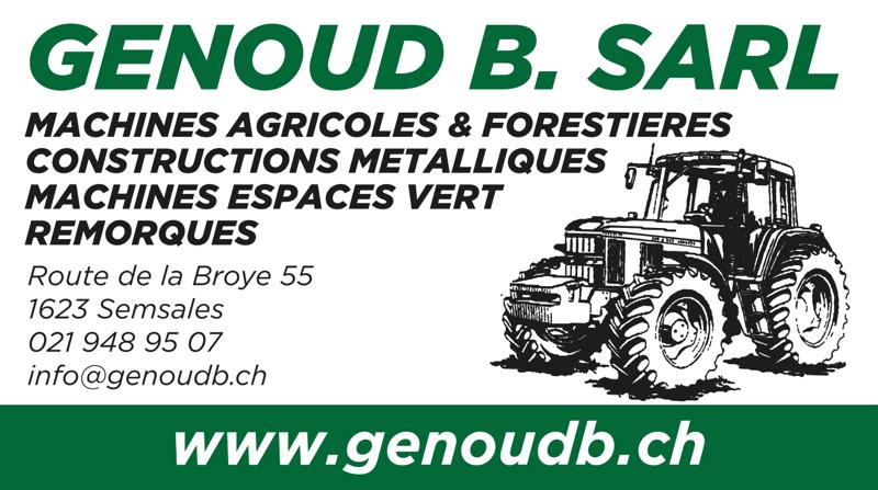 4baa54ac-7e10-4cb0-ab20-2acea7048a7c-GENOUD BLOGO 2018_SEMSALES.png