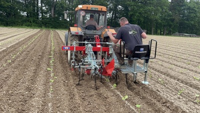 Hackgerät für Kürbis, Oliver Agro