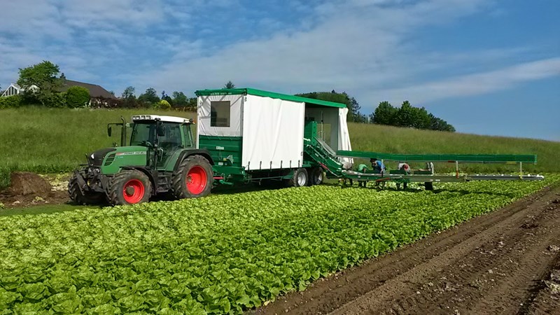 Gemüse-Erntewagen DELECROIX