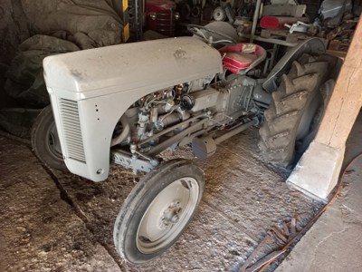 Oldtimer Traktor Ferguson TE20 1948 aus 1. Hand Scheunenfund  ( ähnlich Fordson )